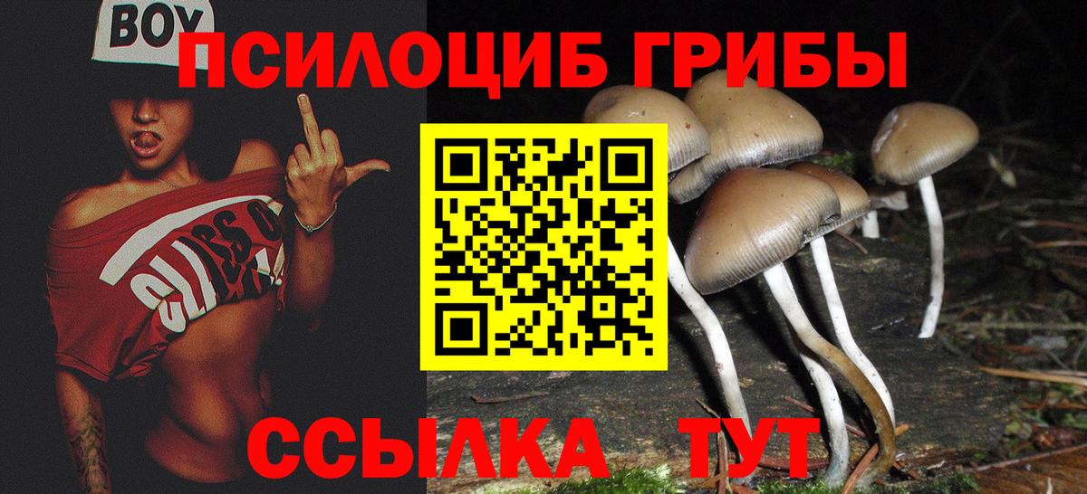 Псилоцибиновые грибы прущие грибы  Псилоцибиновые грибы Magic Shrooms  Тимашёвск  Вход с VPN 